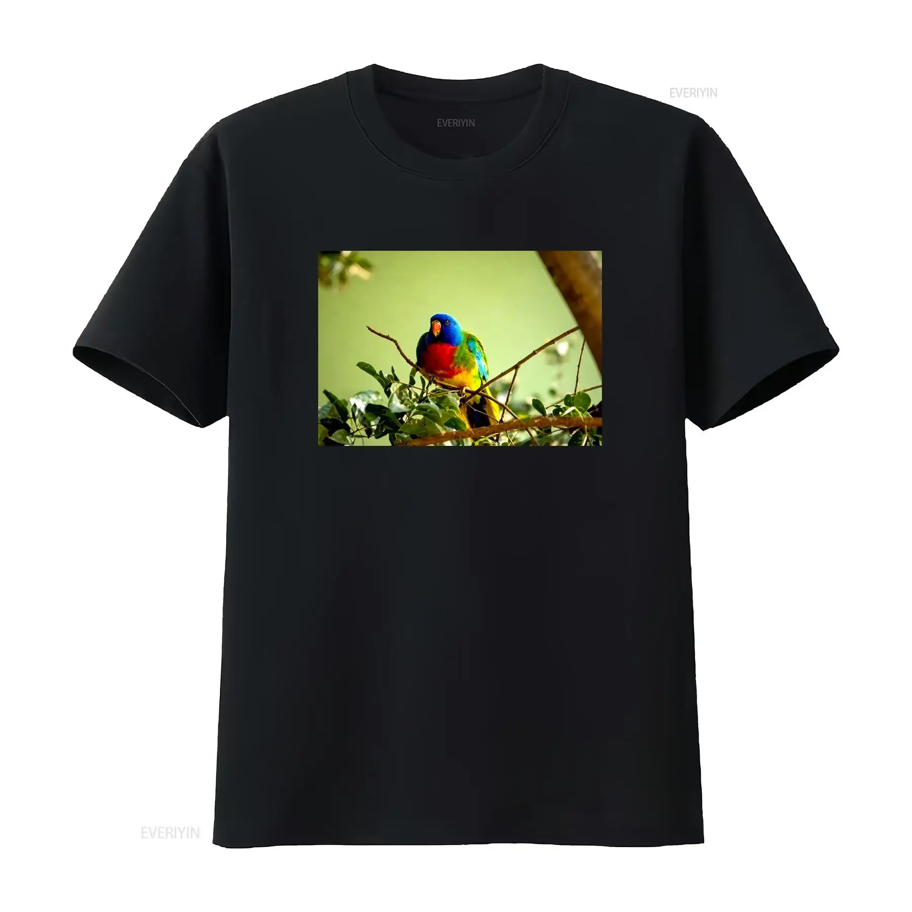 Scarlet Chested Parrot Made in - Vintage Fashion Australia recensie en prijs