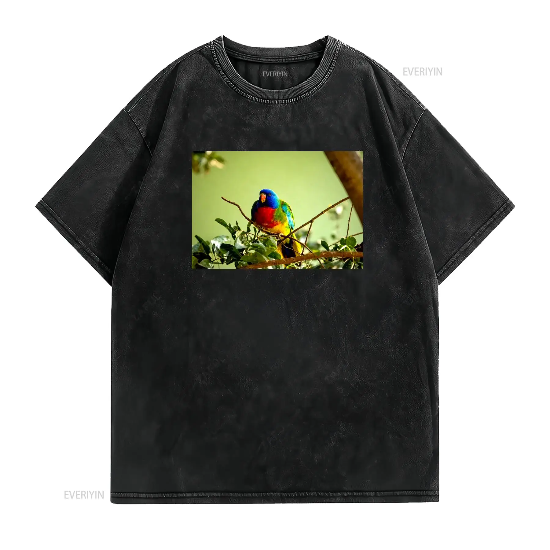Scarlet Chested Parrot Made in - Vintage Fashion Australia recensie en prijs