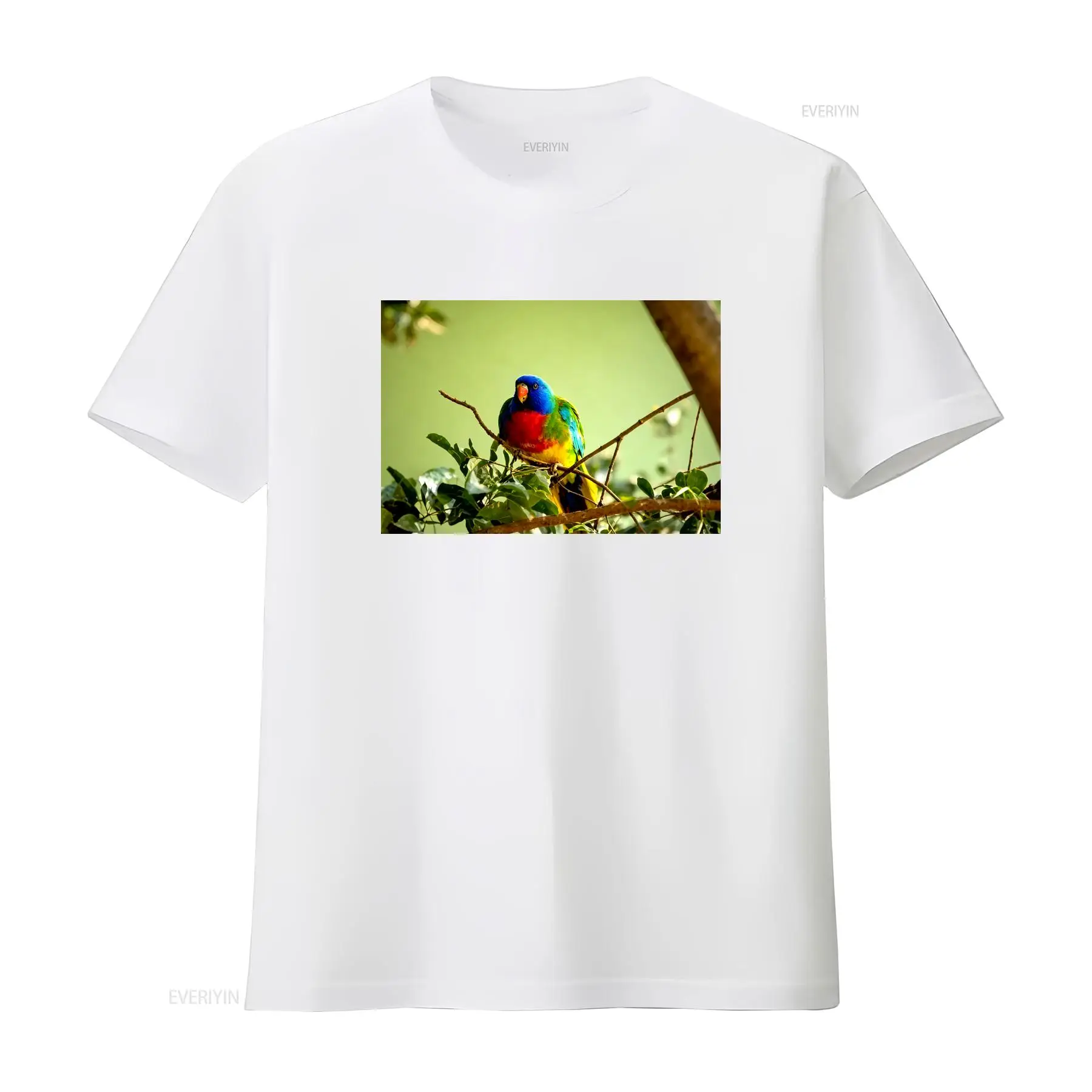 Scarlet Chested Parrot Made in - Vintage Fashion Australia recensie en prijs